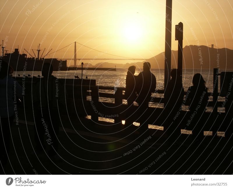 Golden Gate Human being Man Woman Sunset Ocean Bird Americas Golden Gate Bridge San Francisco North America Bay sea water Silhouette