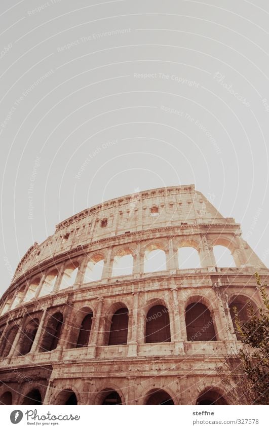 colossally Rome Italy Tourist Attraction Landmark Colosseum Old Esthetic Exceptional Famousness Historic Subdued colour Exterior shot Worm's-eye view Wide angle