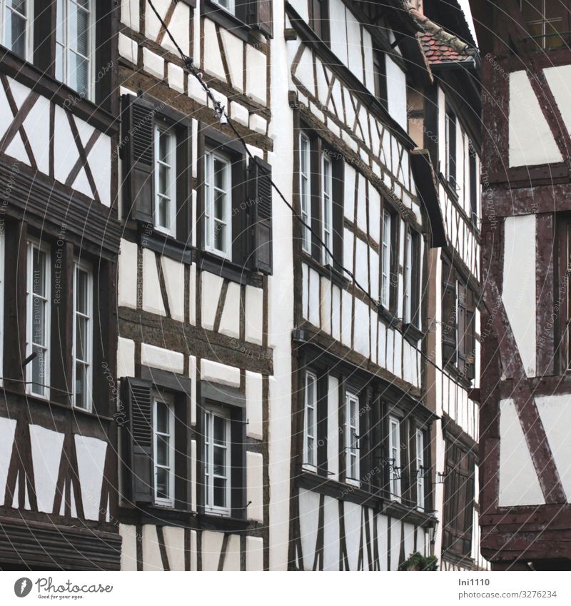 half-timbered Strasbourg House (Residential Structure) Wall (barrier) Wall (building) Facade Window Tourist Attraction Black White Half-timbered house