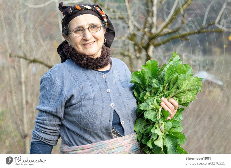 Portrait of an elderly woman picking some of fresh herbal vegetables from garden, Vegetable Nutrition Organic produce Vegetarian diet Diet Lifestyle Style