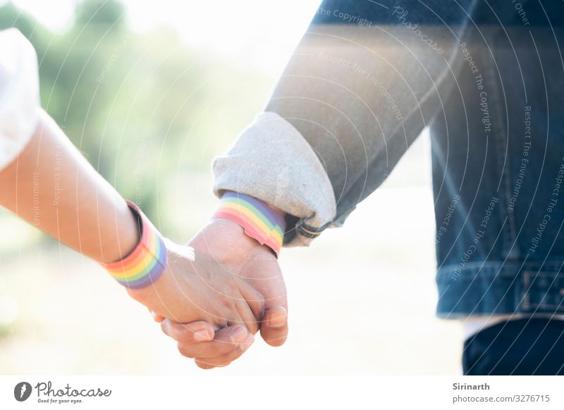 Couple of LGBT holding hands walking in the park. Homosexual Family & Relations Love Gender bisexual Transgender Sexuality Rainbow Lovers valentine Recklessness