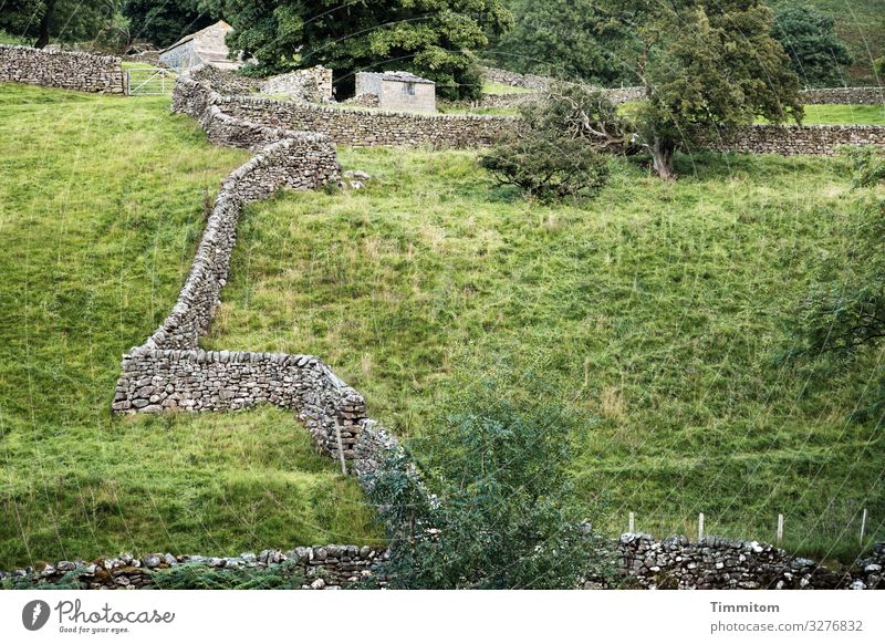 Dry Stone Walls Vacation & Travel Environment Landscape Plant Tree Grass Bushes Meadow Yorkshire Great Britain Building Lanes & trails Simple Natural Gray Green