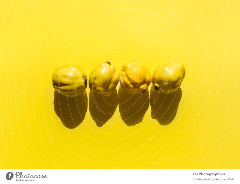 Fresh quinces fruits on yellow background. Four quinces minimal Food Fruit Healthy Eating Bright Delicious Natural Gold Cydonia oblonga above view agriculture
