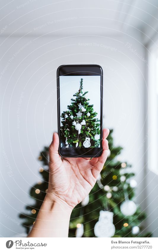 woman hand taking a picture of decorated Christmas Tree at home Hand Cellphone Technology Illustration Screen device Hold Woman Green Magic Lifestyle