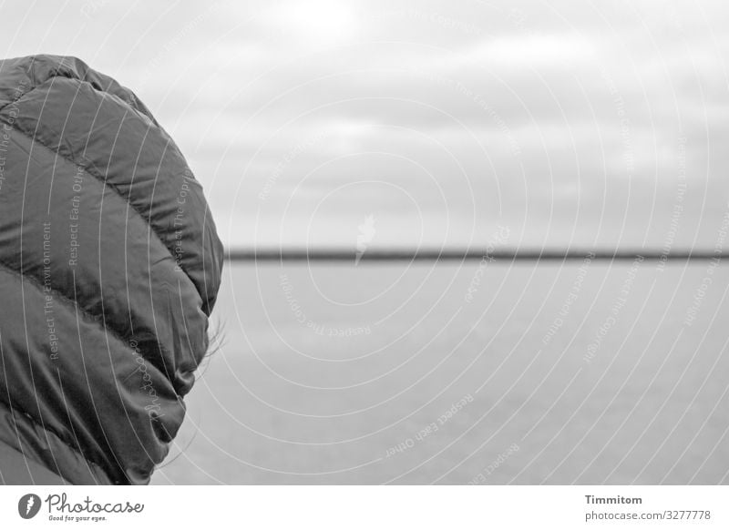 Look how she looks (3) Human being Head Woman Hooded (clothing) hair Clouds Sky North Sea Denmark Vacation & Travel Calm Black & white photo Water coast Horizon