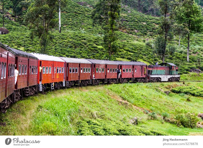 riding by train the scenic mountain track in Sri Lanka Vacation & Travel Trip Mountain Tree Grass Forest Virgin forest Transport Railroad Metal Steel Old
