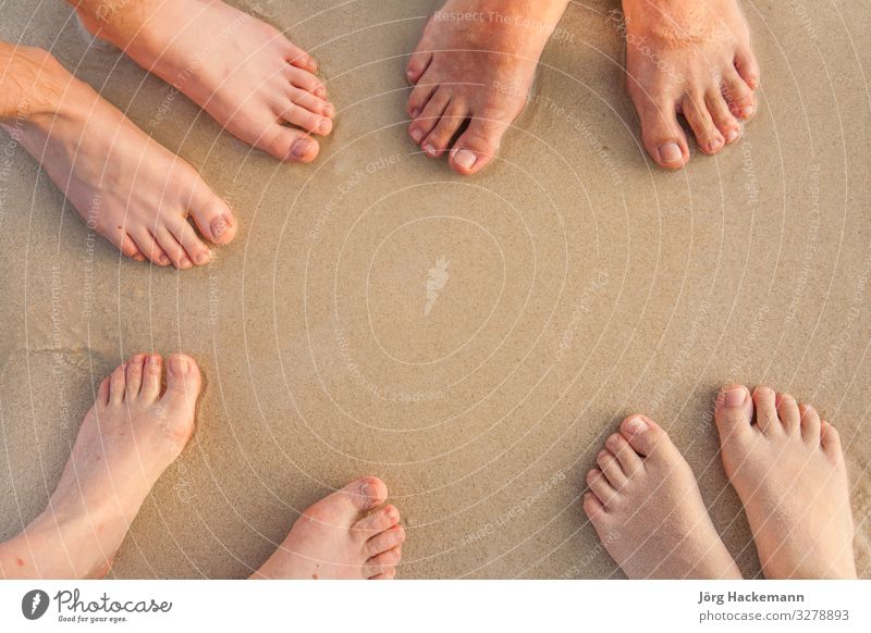 feet of the family, father, mother and two suns at the beach Vacation & Travel Trip Freedom Summer Beach Ocean Child Human being Man Adults Family & Relations