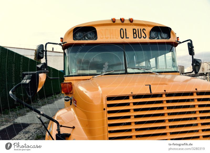 The ol' Bus was a School Bus Parenting Education way to school Youth culture Subculture USA Transport Means of transport Public transit Motoring Bus travel