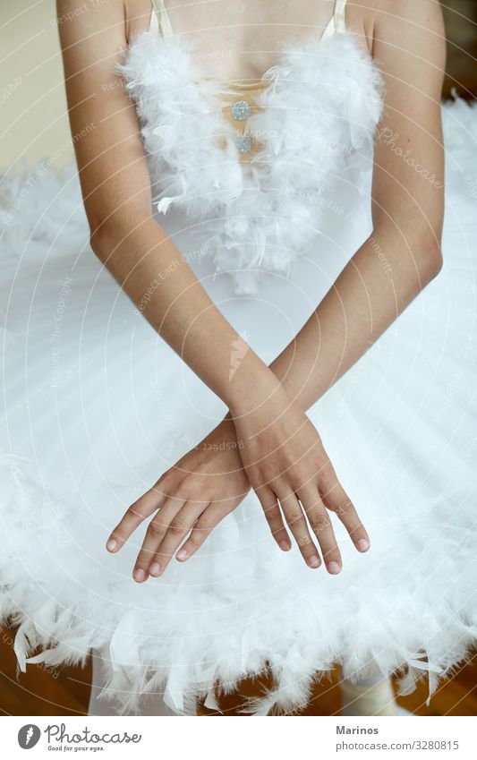 Closeup of ballerina's hands while dancing the Swan Lake. Elegant Beautiful Dance Human being Woman Adults Hand Art Dancer Ballet Fashion Footwear White