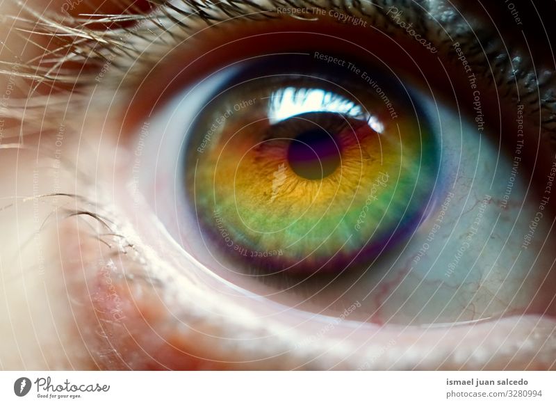rainbow on the eye Face Eyes Pupil Man Human being Rainbow Symbols and metaphors Colour Multicoloured Rainbow flag Homosexual Pride diversity Tolerant Opening