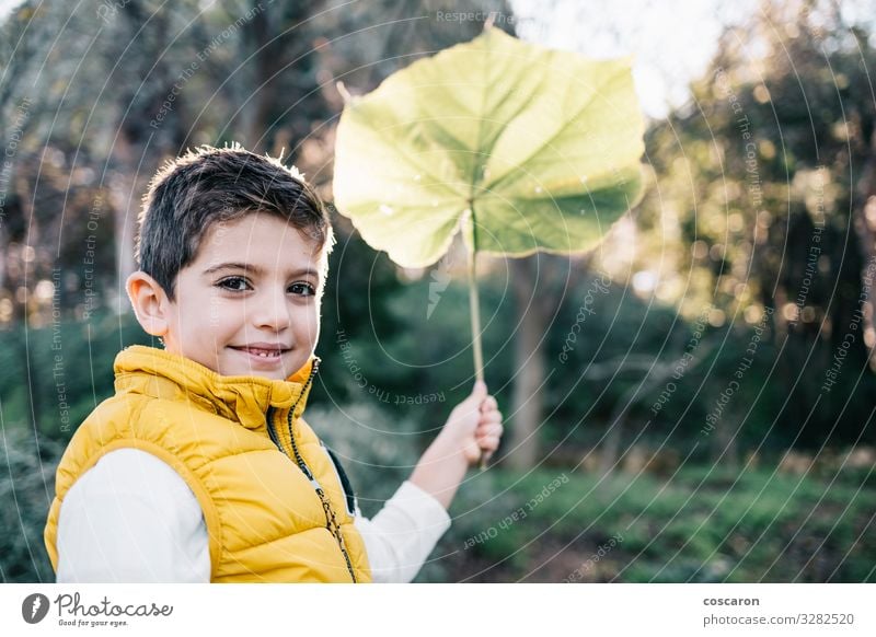 Cute child with yellow vest holding a big leaf Lifestyle Joy Happy Beautiful Leisure and hobbies Trip Garden Child Human being Masculine Toddler Boy (child)
