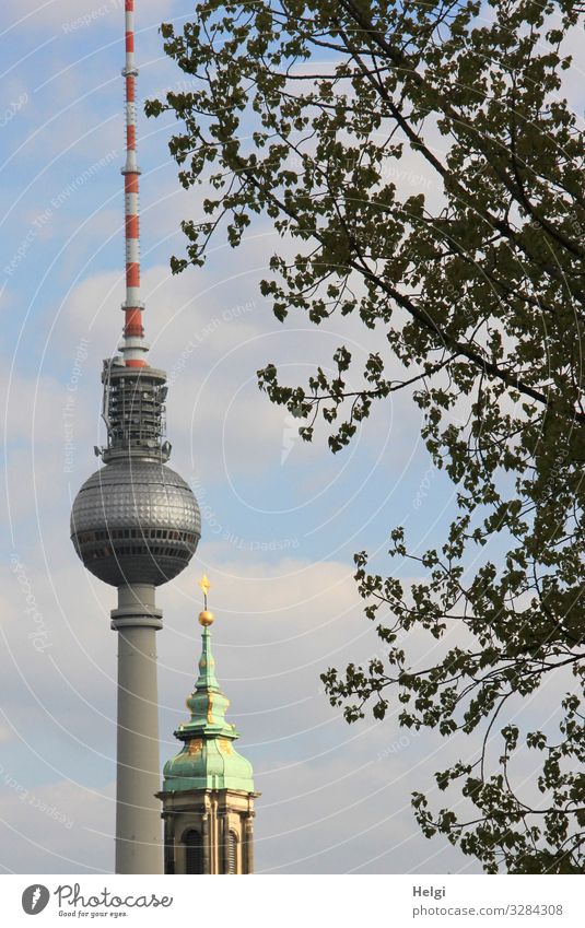 Berlin television tower next to a church tower Environment Nature Tree Church Tower Manmade structures Building Architecture Berlin TV Tower Tourist Attraction