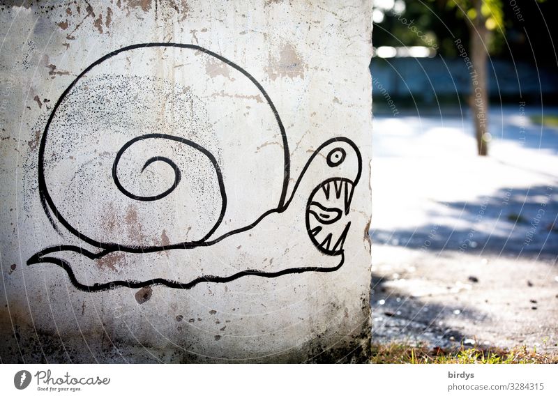 Frightening snail Wall (barrier) Wall (building) Snail 1 Animal Graffiti Authentic Threat Large Funny Crazy Anger Gray Black White Self-confident Surprise
