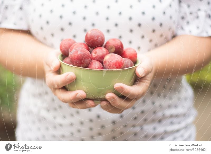 Woman in white patterned t-shirt holding a green bowl with red fruits in her hands Food Fruit Plum Nutrition Organic produce Bowl Feminine Adults Arm Hand 1
