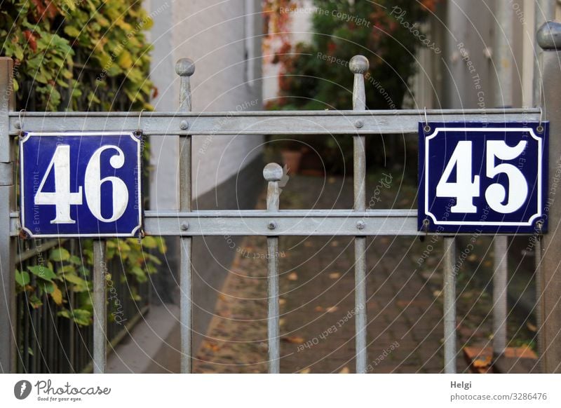 Gate with house numbers 45 and 46 Plant Leaf Hamburg Town Port City House (Residential Structure) Wall (barrier) Wall (building) Goal House number