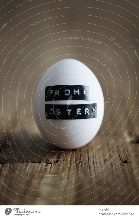 Easter egg Food Sign Emotions Moody Easter egg nest Congratulations Surprise Hover Blur White Wooden table Colour photo Interior shot Close-up Detail
