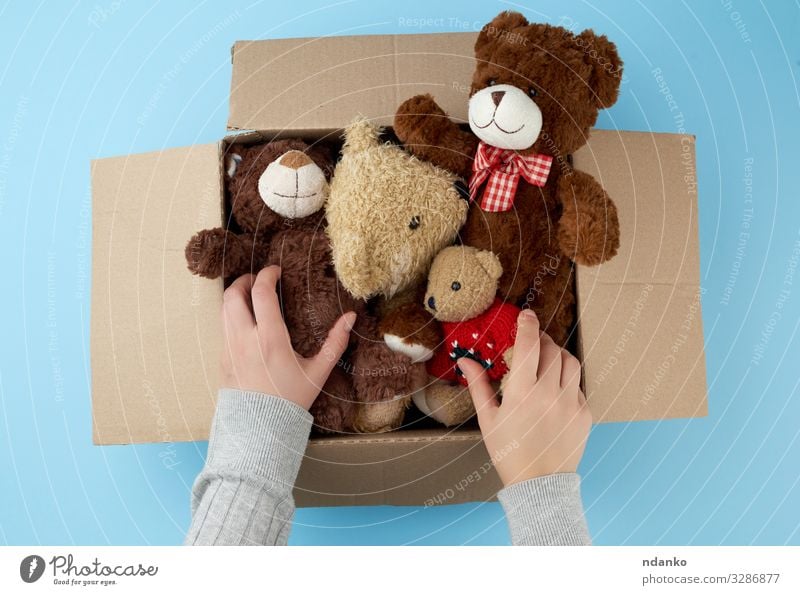 cardboard box with various teddy bears Child Baby Woman Adults Infancy Hand Group Animal Container Toys Doll Teddy bear Collection Small Cute Retro Soft Blue