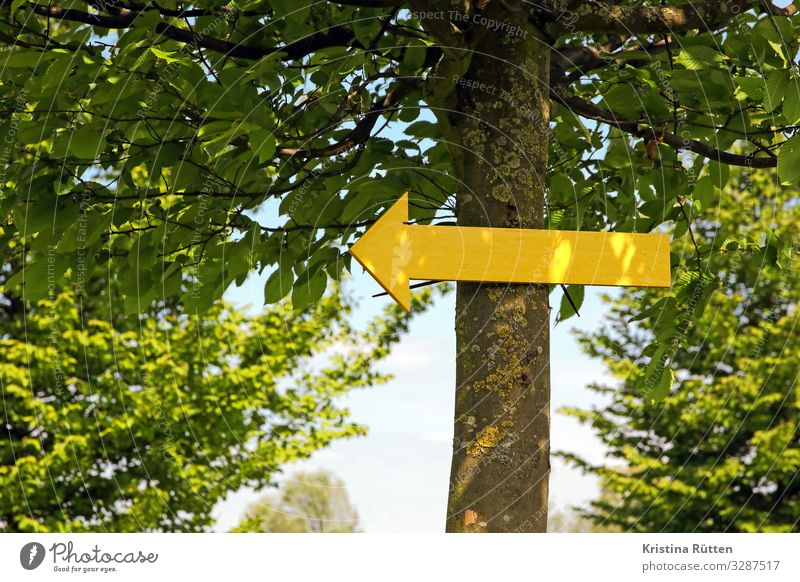 that way Hiking Nature Tree Park Forest Lanes & trails Sign Arrow Yellow Target Direction Road marking Orientation Clue Footpath hiking route Paperchase