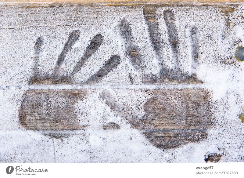 Skin | brittle hands Winter Ice Frost Cold Brown White Imprint Bench Wooden board Hoar frost Comical Colour photo Subdued colour Exterior shot Close-up Deserted