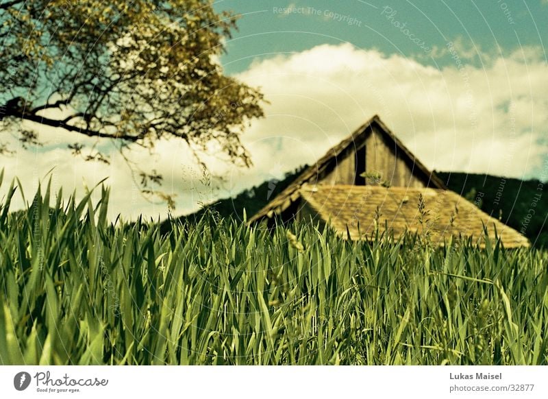 (-été-) Summer Grass Tree Clouds House (Residential Structure) Barn Field Sky