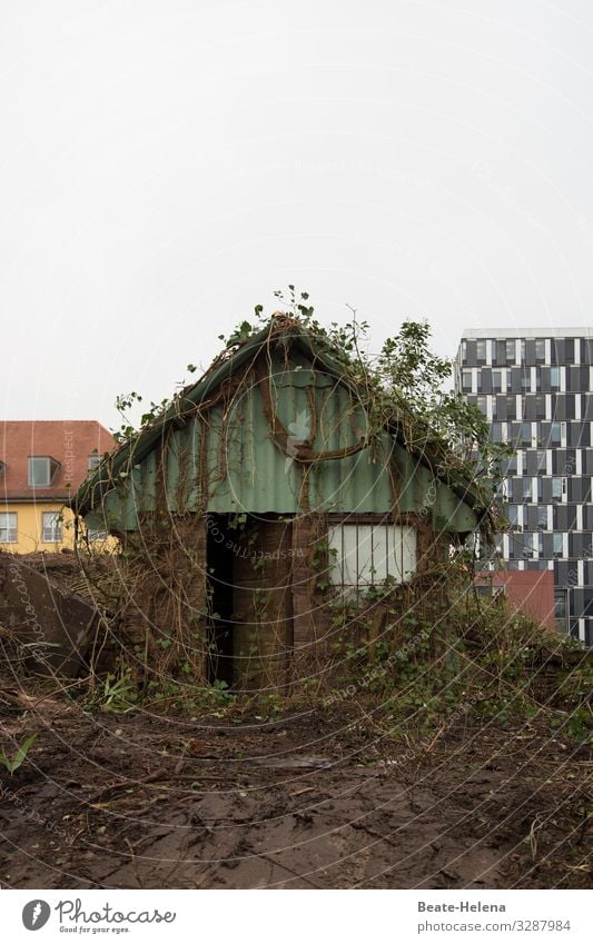 Vacancy 2 Building Gardenhouse Ruin Transience Change Building for demolition forsake sb./sth. Gloomy Past