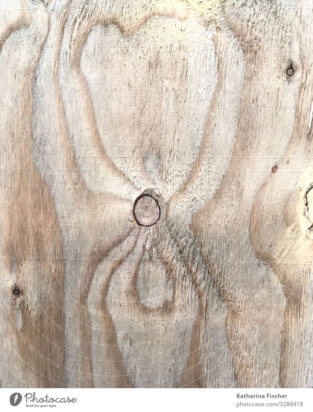 wood grain Nature Spring Summer Autumn Winter Climate Tree Forest Wood Natural Brown White Wooden wall Wooden board Wood grain Transience Miracle of Nature