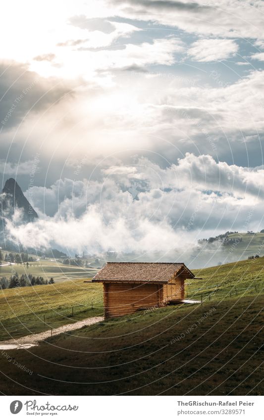 Alpe di Suisi - Alpe di Siusi Environment Nature Landscape Yellow Green Seiser Alm Sunset Clouds Moody Hut Vantage point Mountain Sky Meadow Vacation & Travel