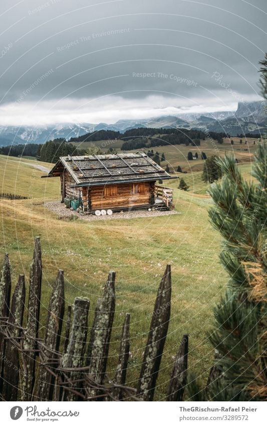 Alpe di Suisi - Alpe di Siusi Nature Landscape Old Fence Hut Alpine pasture Alps Seiser Alm Mountain Clouds Fog Tree Idyll Calm Meadow Wood Chalet vacation