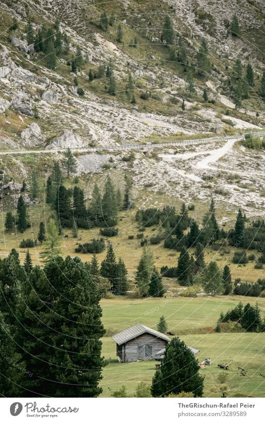Alpine hut in the Dolomites House (Residential Structure) Alps pass road trees out Mountain Meadow Willow tree