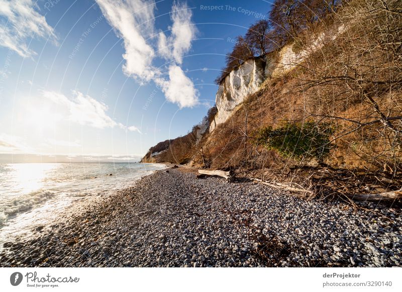 Chalk cliffs in winter sunshine on Rügen IV Panorama (View) Central perspective Shallow depth of field Contrast Copy Space middle Day Light Shadow