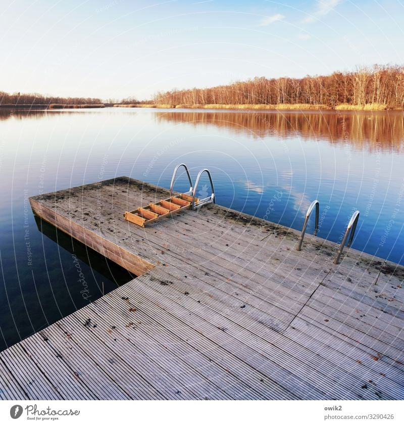 winter pool Leisure and hobbies Environment Nature Landscape Plant Water Sky Horizon Winter Beautiful weather Forest Lakeside Island Clouds Footbridge