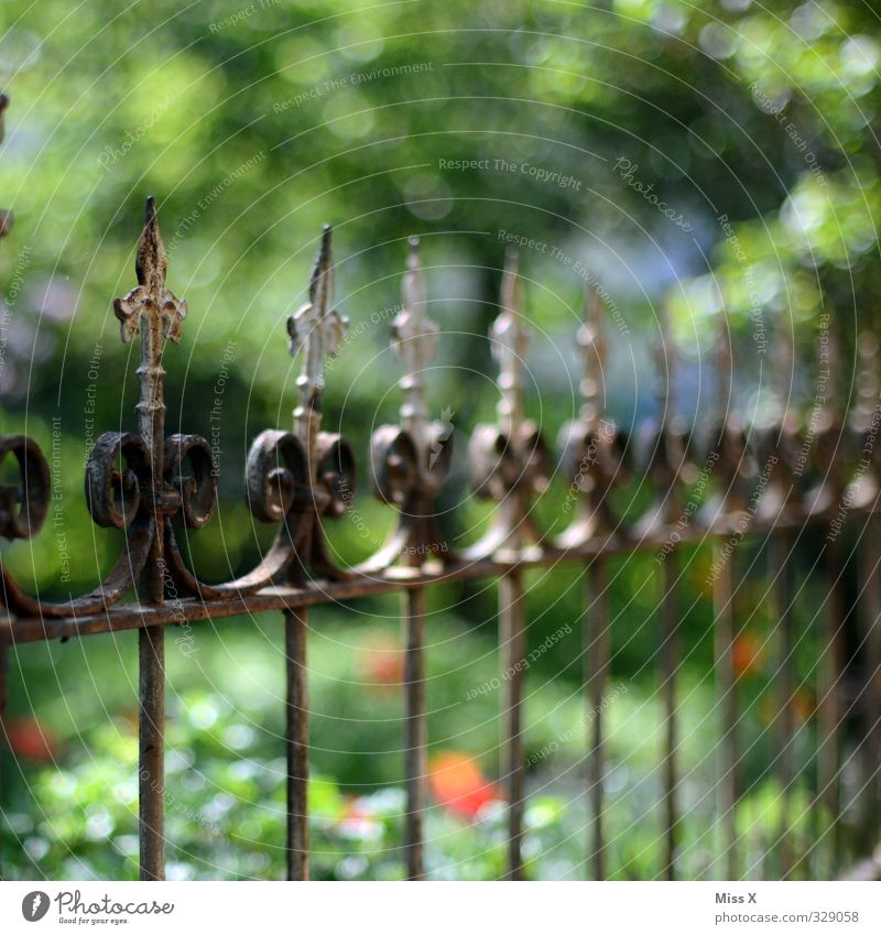 Pointies in the crown Flat (apartment) Garden Old Fence Wrought iron Metalware Decoration Colour photo Multicoloured Exterior shot Close-up Detail Pattern