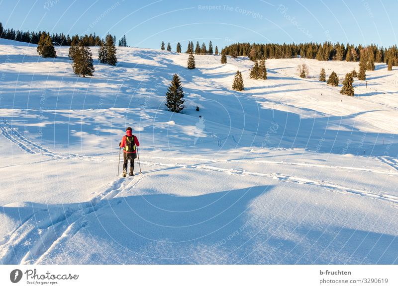 Winter hiking with snowshoes Healthy Life Well-being Contentment Vacation & Travel Tourism Snow Winter vacation Mountain Hiking Woman Adults 1 Human being