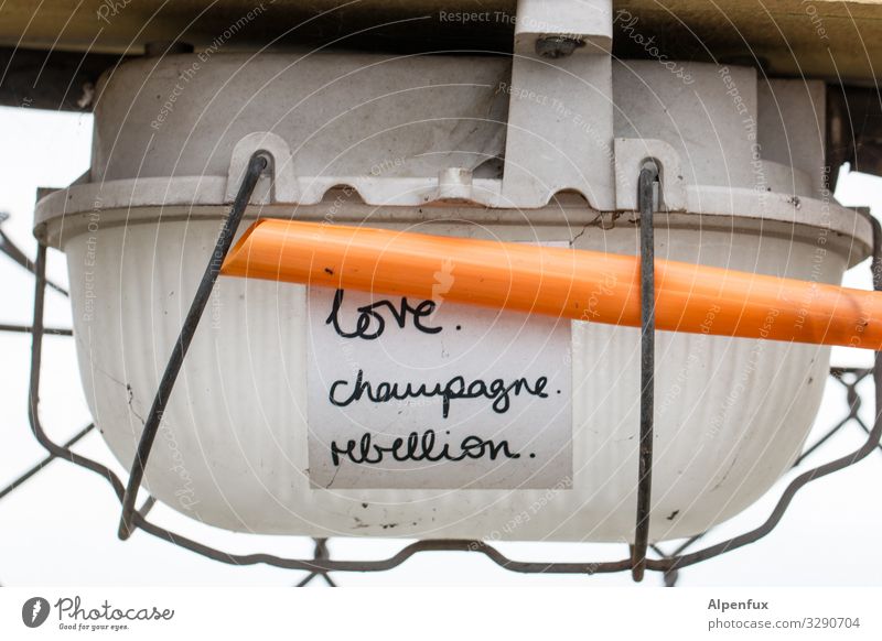 love.champagne.rebellion. | written Cable Energy industry Piece of paper Sign Characters Graffiti Illuminate Rebellious Love Champagne Revolt Lamp Colour photo