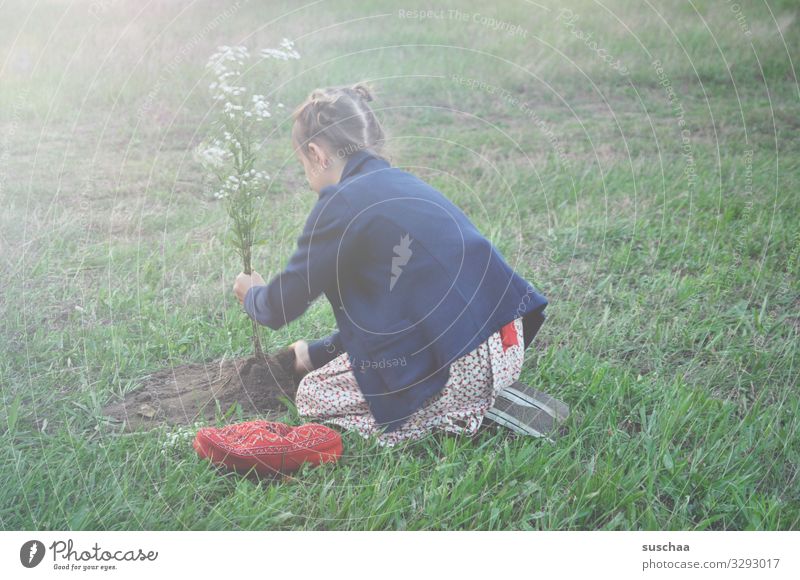 girl plants a flower tree in the middle of a meadow Child Girl Grass Meadow Flower Meadow flower bury Gardening Nature Summer Plant Spring Exterior shot