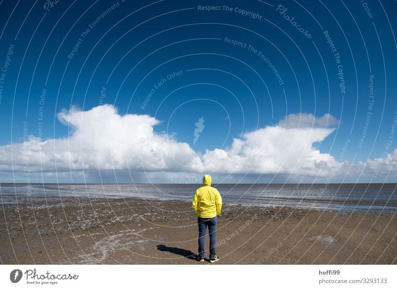 Man in yellow rain jacket in the mudflats in front of two big rain clouds Symmetry Yellow Raincoat Beach ebb and flow Ocean Island Human being Adults 1 Nature