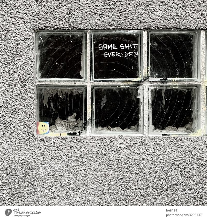 Glass bricks with the slogan of the day Town Wall (barrier) Wall (building) Window Stone Sign Characters Graffiti Threat Dirty Dark Hideous Gloomy Gray Black