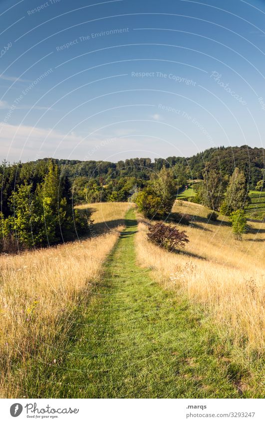 Path through a wonderfully beautiful landscape Lanes & trails Trail Nature Relaxation Meadow Target Hiking Leisure and hobbies Sky Summer Cloudless sky