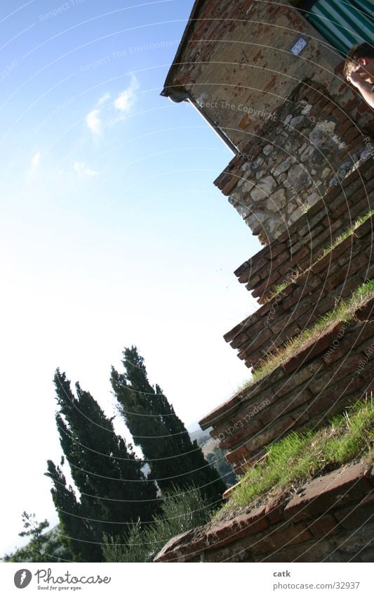 stepped terrace Grass Tree Italy Tuscany House (Residential Structure) Architecture Sky Stairs