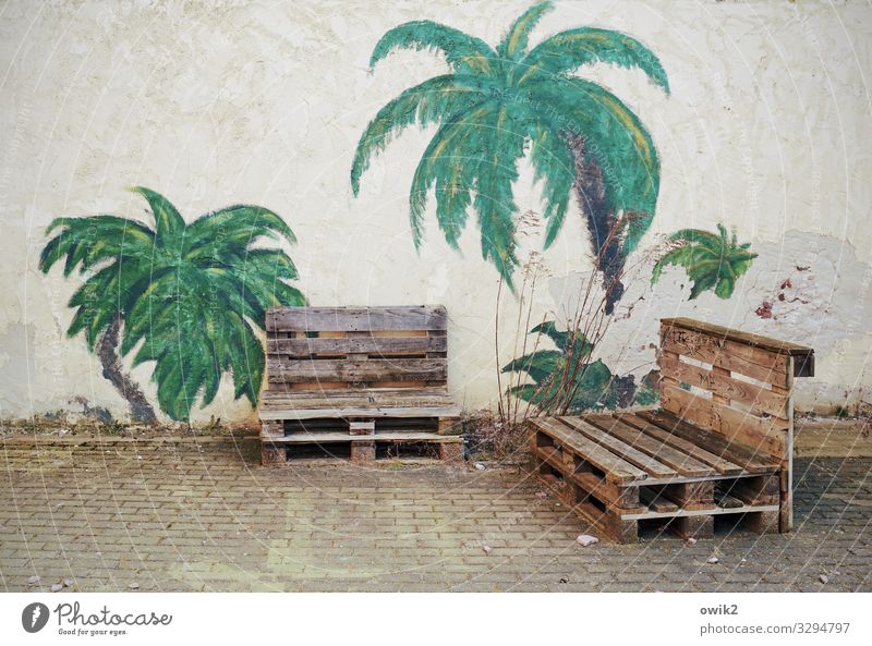 Holidays in Torgau Art Work of art Painting and drawing (object) Bushes Palm tree Palm frond torgau Saxony Germany Small Town Downtown Wall (barrier)