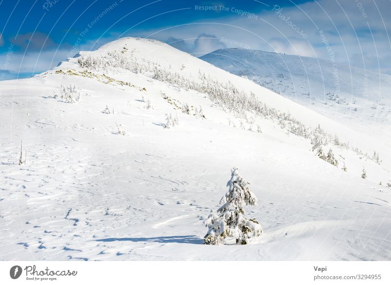 Winter landscape in mountains Beautiful Vacation & Travel Sun Snow Winter vacation Mountain Hiking Christmas & Advent Environment Nature Landscape Sky Clouds