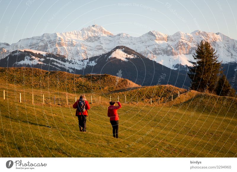 Hiking in the Appenzeller Land Life Vacation & Travel Winter Snow Winter vacation Mountain Feminine Adults 2 Human being 45 - 60 years Nature Climate change