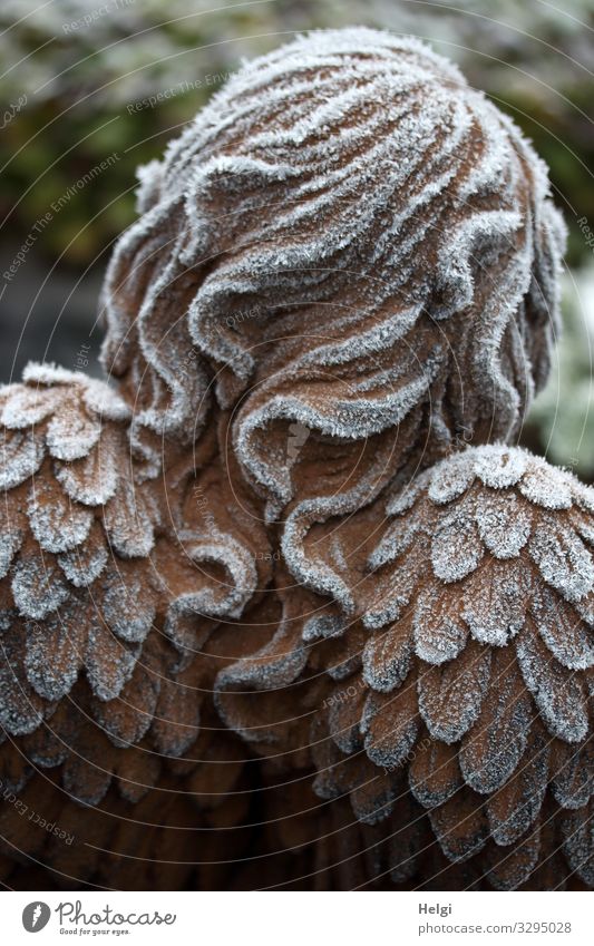 Rear view of an angel with hoarfrost on hair and wings Winter Ice Frost Decoration Grand piano Hair and hairstyles Sign Angel Freeze Stand Exceptional