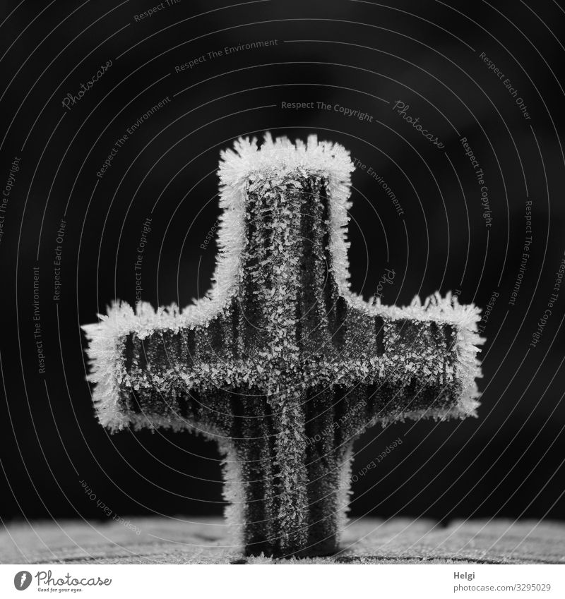 Ice Age | hoarfrost on a metal cross in front of a dark background Environment Nature Winter Frost Cemetery Decoration Metal Crucifix To hold on Freeze Stand