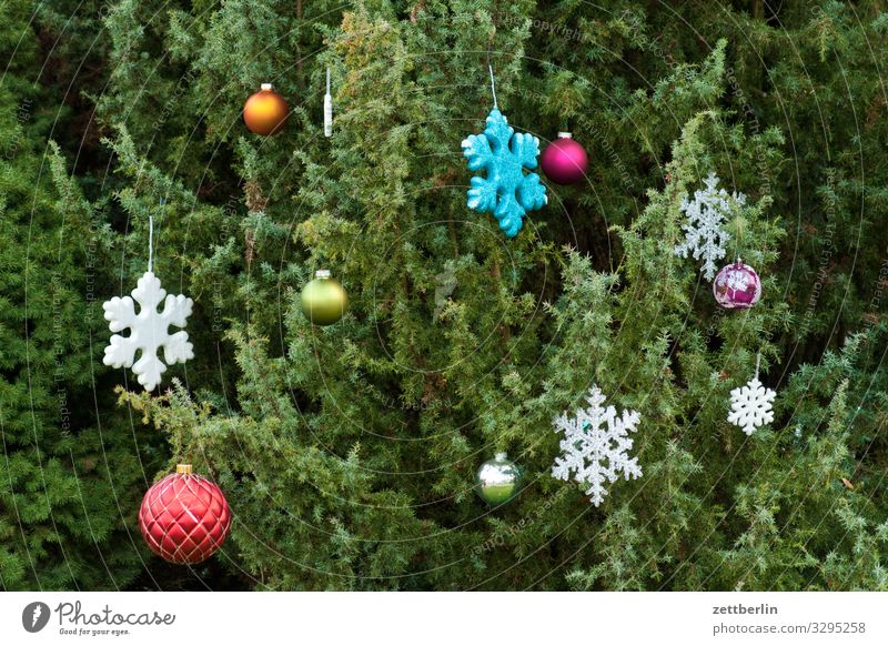 christmas decoration Christmas & Advent Star (Symbol) Snowflake Decoration Jewellery Christmas tree decorations Fir tree Spruce Pine Background picture Deserted