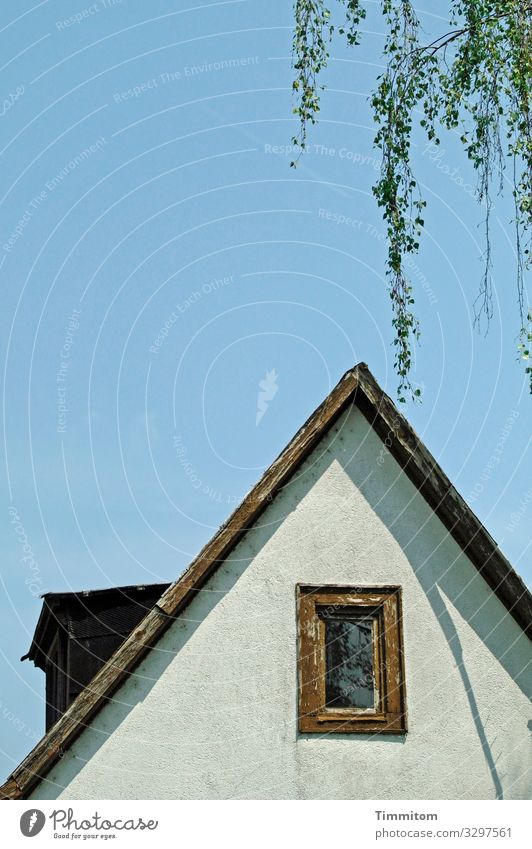 house Frankfurt Outskirts House (Residential Structure) Window Roof Simple Blue Brown Gray Green Emotions Twigs and branches Deciduous tree Sky Wood Glass
