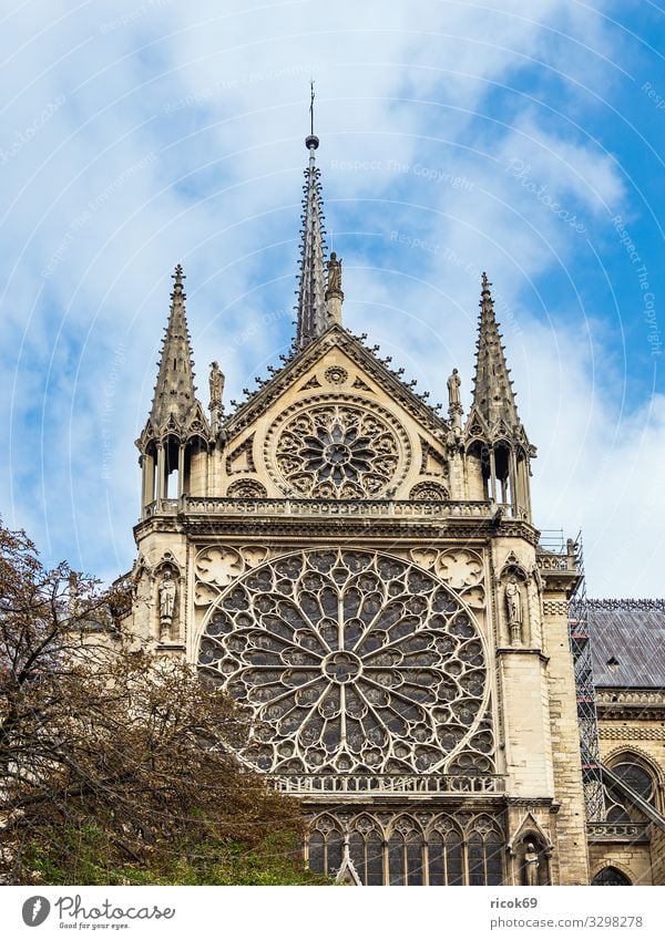 View of the cathedral Notre-Dame in Paris, France Relaxation Vacation & Travel Tourism City trip House (Residential Structure) Clouds Autumn Tree Town