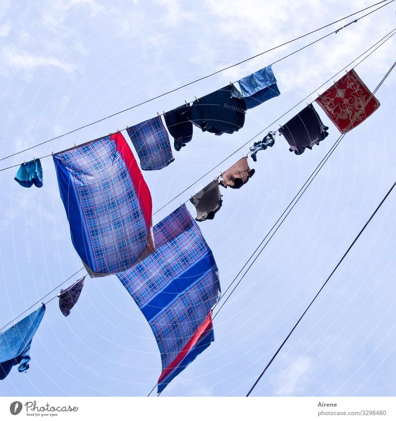 Bed change Living or residing Clothesline Washing Bedclothes Sky Sky only Beautiful weather Wind Naples Hang Fragrance Above Dry Blue Multicoloured Diligent