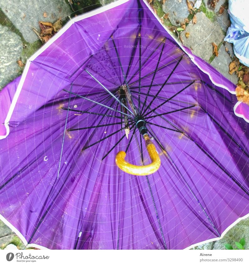 in wind and rain Bad weather Gale Rain Umbrella Umbrellas & Shades Broken Old Wet Violet Aggravation Frustration Disaster Adversity Destruction Futile Defective