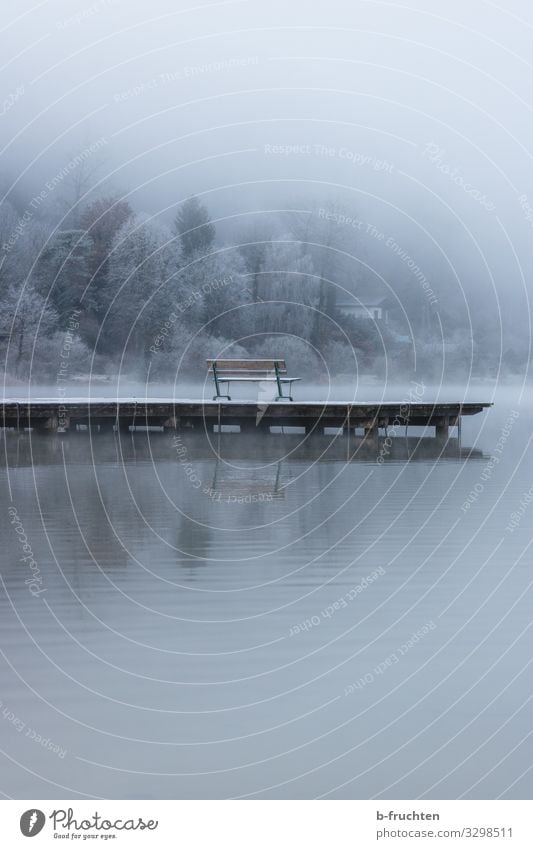 Fog at the lake Harmonious Relaxation Calm Meditation Environment Nature Landscape Autumn Winter Bad weather Ice Frost Lakeside To enjoy Looking Dream Wait